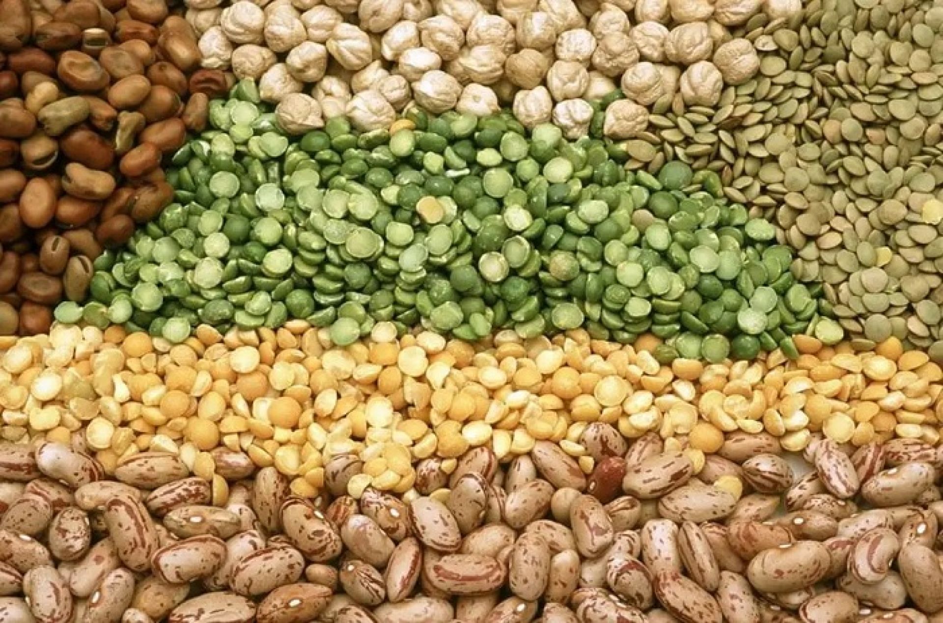 दलहनबाली उत्पादनमा वृद्धि, यस वर्ष १० हजार ५२० मेट्रिकटन उत्पादन 